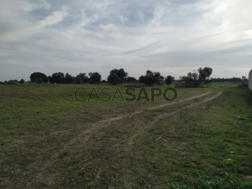 Terrenos para venda em Alcochete perto de: São Francisco - SUPERCASA