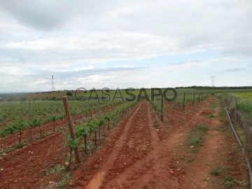 Explotación agraria