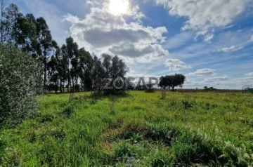 Farm 3 Bedrooms