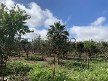 Finca 2 habitaciones