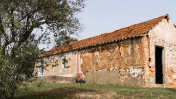 Finca Rustica 2 habitaciones