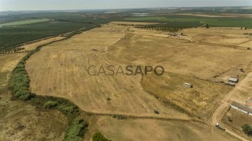 Terrain Rustique