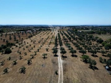 Finca ganadera