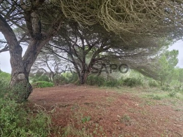 Terrain Rustique