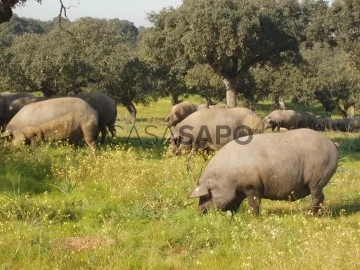 Finca ramadera