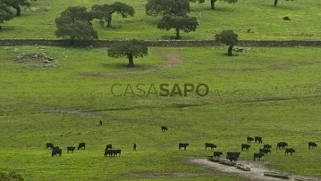 Finca ganadera