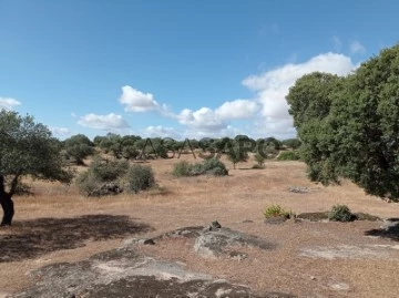 Finca ganadera