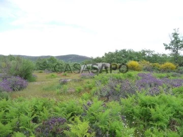 Finca ganadera