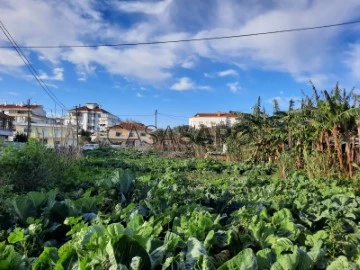 Terreno Urbano