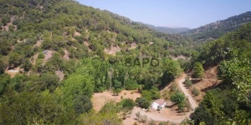 Casa amb parcel·la 3 habitacions + 1 hab. auxiliar