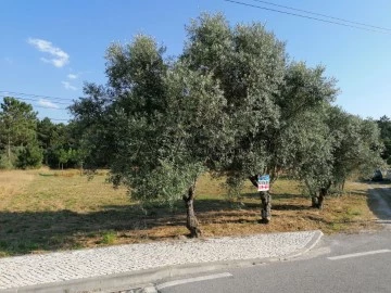 Terreno Urbano