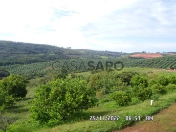 Imóveis com churrasqueira para alugar em Uberlândia, MG - ZAP Imóveis