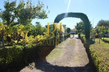 Finca 2 habitaciones + 2 hab. auxiliares