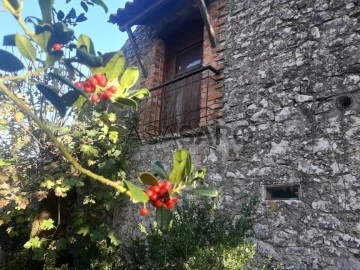 Finca Rustica 4 habitaciones