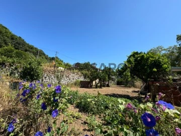 Finca Rustica 3 habitaciones