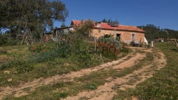 Terreno Rústico