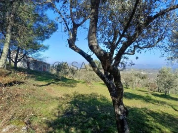 Finca Rustica 1 habitación