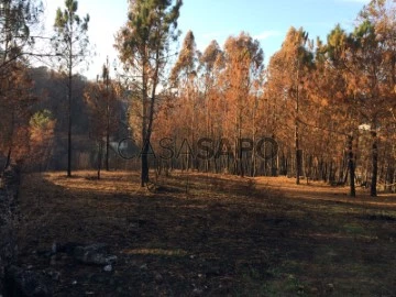 Terreno Urbano