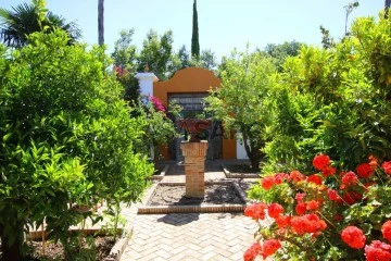 Finca 7 habitaciones