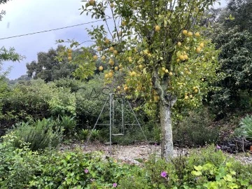 Finca 1 habitación