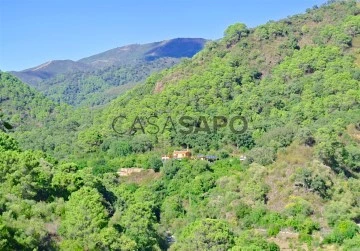 Finca 5 habitaciones