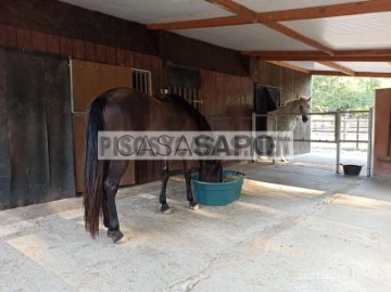 Finca 5 habitaciones