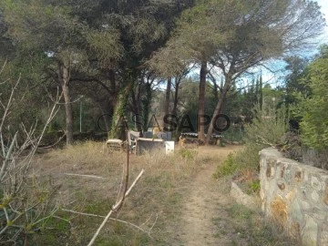 Finca