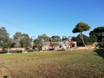 Casa amb parcel·la 4 habitacions