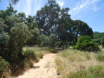 Finca 8 habitaciones