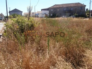 Terreno Urbano