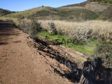 Terrain Rustique