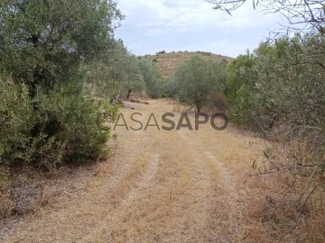 Terrain Rustique