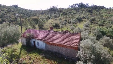 Old House 3 Bedrooms