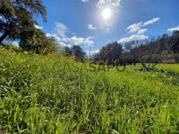 Terrain Rustique