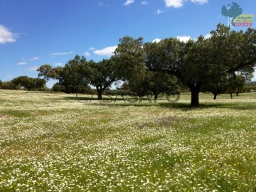 Farm Land