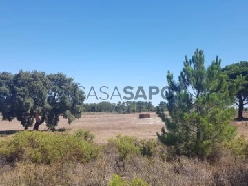 Corps de ferme de l'Alentejo 3 Pièces