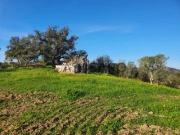 Monte Alentejano