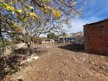 Quinta Com Muro Em Pedra Natural, Terrenos e Quintas, à venda, Leiria