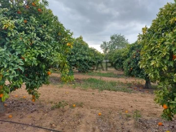 Finca 3 habitaciones