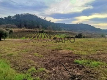 Terreno Urbano