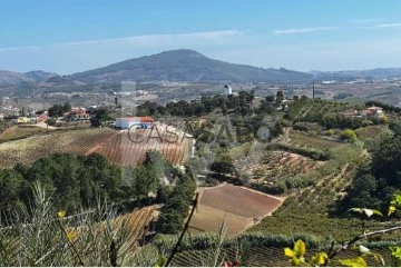 Finca 3 habitaciones