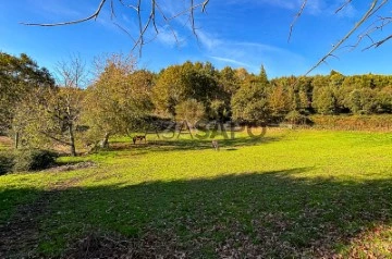 Finca 6 habitaciones