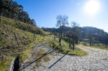 Finca 6 habitaciones