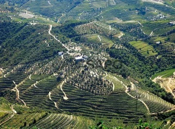 Quinta Agrícola T2