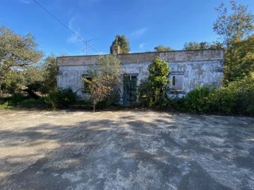 Old House 1 Bedroom