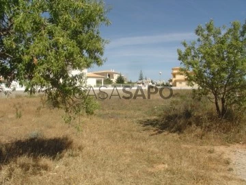 Terreno Urbano