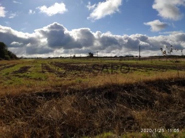 Terrain Rustique