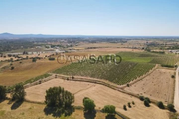 Explotación agraria 5 habitaciones