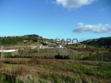 Terreno Urbano