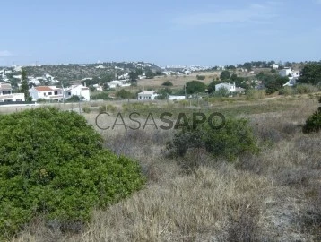 Terrain Rustique